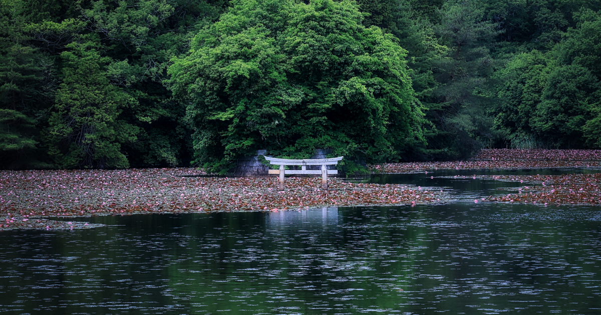 弁天池の沈み鳥居